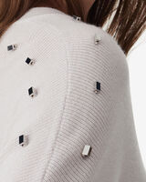 FELIPA image number null